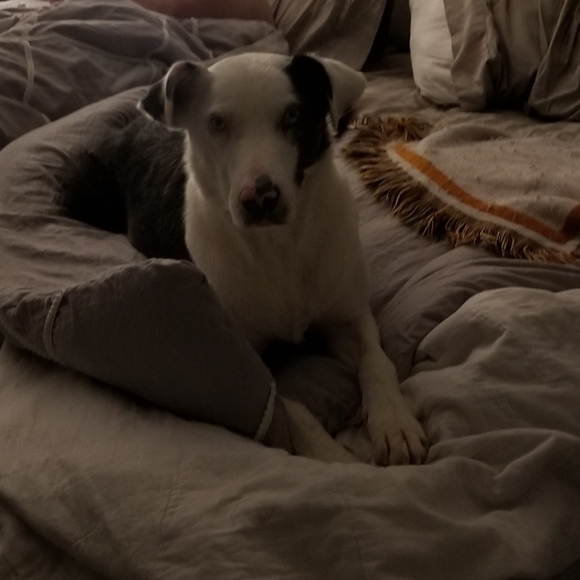 Bundle those likes! - Picture 7 of 9